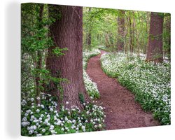 Canvas schilderij 150x100 cm - Wanddecoratie De daslook in de lente in een Duits bos - Muurdecoratie woonkamer - Slaapkamer decoratie - Kamer accessoires - Schilderijen