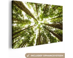 Canvas schilderij 150x100 cm - Wanddecoratie Hoge groene bomen in jungle - Muurdecoratie woonkamer - Slaapkamer decoratie - Kamer accessoires - Schilderijen
