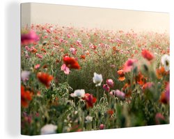 Canvas schilderij 150x100 cm - Wanddecoratie Klaprozen - Ochtend - Gras - Muurdecoratie woonkamer - Slaapkamer decoratie - Kamer accessoires - Schilderijen
