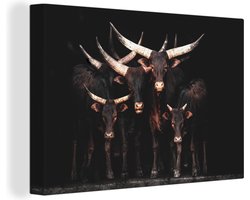 Canvas schilderij 150x100 cm - Wanddecoratie Koe - Watussi - Zwart - Hoorns - Muurdecoratie woonkamer - Slaapkamer decoratie - Kamer accessoires - Schilderijen