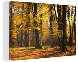 Canvas schilderij 150x100 cm - Wanddecoratie Oranje herfstbos in het Nationaal park Exmoor in Engeland - Muurdecoratie woonkamer - Slaapkamer decoratie - Kamer accessoires - Schilderijen