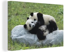 Canvas schilderij 150x100 cm - Wanddecoratie Pandas - Gras - Steen - Muurdecoratie woonkamer - Slaapkamer decoratie - Kamer accessoires - Schilderijen