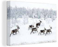 Canvas schilderij 150x100 cm - Wanddecoratie Rendier - Sneeuw - Bos - Winter - Muurdecoratie woonkamer - Slaapkamer decoratie - Kamer accessoires - Schilderijen - Kerstdecoratie voor Binnen - Kerstdecoratie Woonkamer - Kerstdecoratie in Huis