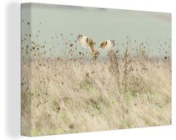 Canvas schilderij 150x100 cm - Wanddecoratie Vliegende uil in het landschap van het Verenigd Koninkrijk - Muurdecoratie woonkamer - Slaapkamer decoratie - Kamer accessoires - Schilderijen