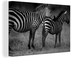Canvas schilderij 150x100 cm - Wanddecoratie Zebra's op de savanne - zwart wit - Muurdecoratie woonkamer - Slaapkamer decoratie - Kamer accessoires - Schilderijen