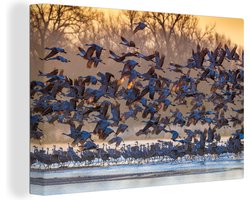 Canvas schilderij 150x100 cm - Wanddecoratie Zwerm van kraanvogels stijgen op uit het water in Nebraska - Muurdecoratie woonkamer - Slaapkamer decoratie - Kamer accessoires - Schilderijen