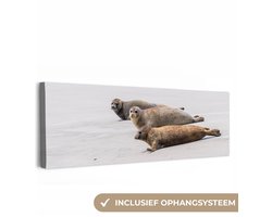 Canvas schilderij 150x50 cm - Wanddecoratie Zeehonden op Nord Friesland - Muurdecoratie woonkamer - Slaapkamer decoratie - Kamer accessoires - Schilderijen op canvas