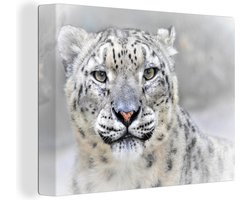 Canvas schilderij 160x120 cm - Wanddecoratie Close-up van een sneeuwluipaard in de winter - Muurdecoratie woonkamer - Slaapkamer decoratie - Kamer accessoires - Schilderijen