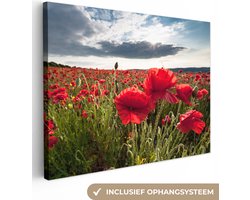 Canvas schilderij 160x120 cm - Wanddecoratie Klaprozen tegen een dramatische stormachtige lucht - Muurdecoratie woonkamer - Slaapkamer decoratie - Kamer accessoires - Schilderijen