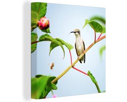 Canvas schilderij 160x120 cm - Wanddecoratie Prachtige robijnkeelkolibrie op een wijnstok - Muurdecoratie woonkamer - Slaapkamer decoratie - Kamer accessoires - Schilderijen op canvas