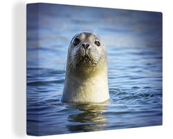 Canvas schilderij 160x120 cm - Wanddecoratie Zeehond - Portret - Water - Muurdecoratie woonkamer - Slaapkamer decoratie - Kamer accessoires - Schilderijen