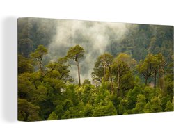 Canvas schilderij 160x80 cm - Wanddecoratie Bos in het Nationaal park Huerquehue in Chili - Muurdecoratie woonkamer - Slaapkamer decoratie - Kamer accessoires - Schilderijen
