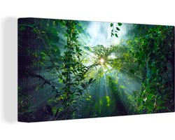 Canvas schilderij 160x80 cm - Wanddecoratie De zon schijnend door de bossen van een regenwoud in Maleisië - Muurdecoratie woonkamer - Slaapkamer decoratie - Kamer accessoires - Schilderijen