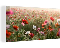 Canvas schilderij 160x80 cm - Wanddecoratie Klaproos - Kleuren - Pastel - Muurdecoratie woonkamer - Slaapkamer decoratie - Kamer accessoires - Schilderijen