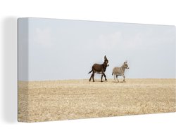 Canvas schilderij 160x80 cm - Wanddecoratie Rennende ezels - Muurdecoratie woonkamer - Slaapkamer decoratie - Kamer accessoires - Schilderijen op canvas