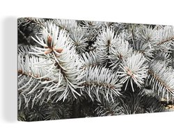 Canvas schilderij 160x80 cm - Wanddecoratie Takken - Naaldboom - Winter - Muurdecoratie woonkamer - Slaapkamer decoratie - Kamer accessoires - Schilderijen - Kerstdecoratie voor Binnen - Kerstdecoratie Woonkamer - Kerstdecoratie in Huis