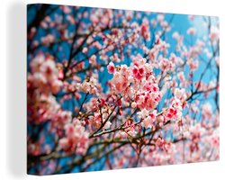 Canvas schilderij 180x120 cm - Wanddecoratie Bloesem - Lucht - Boom - Muurdecoratie woonkamer - Slaapkamer decoratie - Kamer accessoires - Schilderijen