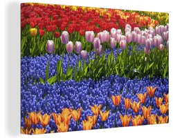 Canvas schilderij 180x120 cm - Wanddecoratie Gekleurde tulpen en hyacinten in de Keukenhof in Zuid-Holland - Muurdecoratie woonkamer - Slaapkamer decoratie - Kamer accessoires - Schilderijen