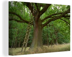 Canvas schilderij 180x120 cm - Wanddecoratie Houten ladder tegen een oude eikenboom - Muurdecoratie woonkamer - Slaapkamer decoratie - Kamer accessoires - Schilderijen
