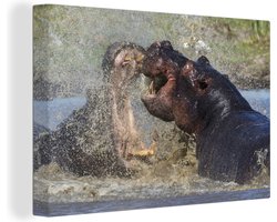 Canvas schilderij 180x120 cm - Wanddecoratie Nijlpaard in woest gevecht - Muurdecoratie woonkamer - Slaapkamer decoratie - Kamer accessoires - Schilderijen