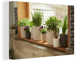 Canvas schilderij 180x120 cm - Wanddecoratie Potten met viooltjes en kruiden in een vensterbank - Muurdecoratie woonkamer - Slaapkamer decoratie - Kamer accessoires - Schilderijen