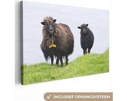 Canvas schilderij 180x120 cm - Wanddecoratie Schapen - Bruin - Zee - Muurdecoratie woonkamer - Slaapkamer decoratie - Kamer accessoires - Schilderijen