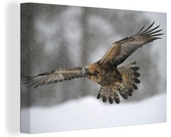 Canvas schilderij 180x120 cm - Wanddecoratie Steenarend tijdens de vlucht boven een winterlandschap - Muurdecoratie woonkamer - Slaapkamer decoratie - Kamer accessoires - Schilderijen