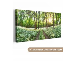 Canvas schilderij 200x100 cm - Wanddecoratie Bos - Bloemen - Lente - Muurdecoratie woonkamer - Slaapkamer decoratie - Kamer accessoires - Schilderijen op canvas