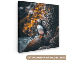 Canvas schilderij 20x20 cm - Exclusieve wanddecoratie Papegaai - Vogel - Rots - Wit - Muurdecoratie woonkamer - Slaapkamer decoratie - Kamer accessoires - Schilderijen op canvas