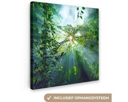Canvas schilderij 20x20 cm - Wanddecoratie De zon schijnend door de bossen van een regenwoud in Maleisië - Muurdecoratie woonkamer - Slaapkamer decoratie - Kamer accessoires - Schilderijen op canvas