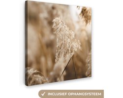 Canvas schilderij 20x20 cm - Wanddecoratie Riet - Plant - Natuur - Beige - Muurdecoratie woonkamer - Slaapkamer decoratie - Kamer accessoires - Schilderijen op canvas