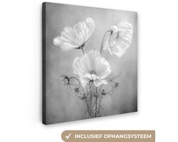 Canvas schilderij 20x20 cm - Wanddecoratie Stilleven - Bloemen - Zwart wit - Klaproos - Botanisch - Muurdecoratie woonkamer - Slaapkamer decoratie - Kamer accessoires - Schilderijen op canvas