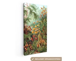 Canvas schilderij 20x40 cm - Wanddecoratie Natuur - Design - Paddenstoelen - Ernst Haeckel - Muurdecoratie woonkamer - Slaapkamer decoratie - Kamer accessoires - Schilderijen op canvas