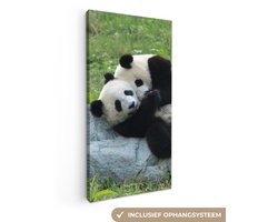 Canvas schilderij 20x40 cm - Wanddecoratie Pandas - Gras - Steen - Muurdecoratie woonkamer - Slaapkamer decoratie - Kamer accessoires - Schilderijen op canvas