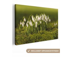 Canvas schilderij 30x20 cm - Wanddecoratie Bosje kleine sneeuwklokjes op mis - Muurdecoratie woonkamer - Slaapkamer decoratie - Kamer accessoires - Schilderijen op canvas