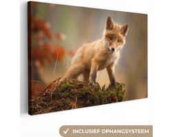 Canvas schilderij 30x20 cm - Wanddecoratie Vos - Baby - Dieren - Natuur - Muurdecoratie woonkamer - Slaapkamer decoratie - Kamer accessoires - Schilderijen op canvas