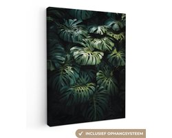Canvas schilderij 30x40 cm - Wanddecoratie Plant - Monstera - Lichtinval - Muurdecoratie woonkamer - Slaapkamer decoratie - Kamer accessoires - Schilderijen op canvas