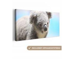 Canvas schilderij 40x20 cm - Wanddecoratie Koala - Close up - Dier - Kinderen - Jongens - Meiden - Muurdecoratie woonkamer - Slaapkamer decoratie - Kamer accessoires - Schilderijen op canvas