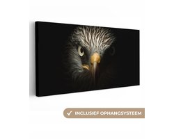 Canvas schilderij 40x20 cm - Wanddecoratie Vogel - Adelaar - Roofvogels - Oog - Snavel - Licht - Muurdecoratie woonkamer - Slaapkamer decoratie - Kamer accessoires - Schilderijen op canvas