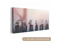 Canvas schilderij 40x20 cm - Wanddecoratie Vogels - Mussen - Paaltjes - Hout - Muurdecoratie woonkamer - Slaapkamer decoratie - Kamer accessoires - Schilderijen op canvas