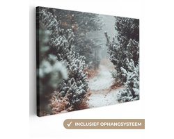 Canvas schilderij 40x30 cm - Wanddecoratie Bos - Winter - Bomen - Natuur - Pad - Sneeuw - Muurdecoratie woonkamer - Slaapkamer decoratie - Kamer accessoires - Schilderijen op canvas