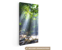 Canvas schilderij 40x80 cm - Wanddecoratie Zonnestralen dringen door de bomen het regenwoud in Maleisië binnen - Muurdecoratie woonkamer - Slaapkamer decoratie - Kamer accessoires - Schilderijen op canvas