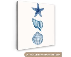 Canvas schilderij 50x50 cm - Exclusieve wanddecoratie Zeester - Schelpen - Blauw - Muurdecoratie woonkamer - Slaapkamer decoratie - Kamer accessoires - Schilderijen op canvas