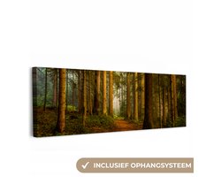 Canvas schilderij 60x20 cm - Wanddecoratie Bos - Natuur - Bomen - Landschap - Bladeren - Muurdecoratie woonkamer - Slaapkamer decoratie - Kamer accessoires - Schilderijen op canvas