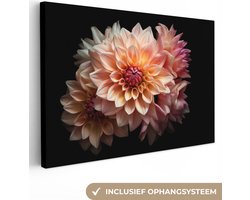Canvas schilderij 60x40 cm - Wanddecoratie Dahlia - Bloemen - Roze - Zwart - Botanisch - Muurdecoratie woonkamer - Slaapkamer decoratie - Kamer accessoires - Schilderijen op canvas