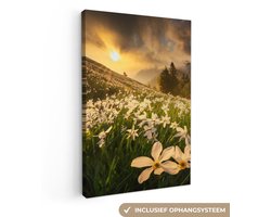 Canvas schilderij 60x90 cm - Wanddecoratie Bloemenveld - Heuvels - Zonsondergang - Berg - Natuur - Wit - Heuvels - Muurdecoratie woonkamer - Slaapkamer decoratie - Kamer accessoires - Schilderijen op canvas