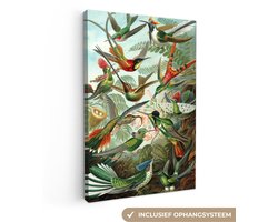 Canvas schilderij 60x90 cm - Wanddecoratie Kolibries - Vintage - Ernst Haeckel - Vogel - Kunst - Natuur - Muurdecoratie accessoires - Keuken decoratie muur - Schilderijen op canvas