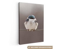 Canvas schilderij 60x90 cm - Wanddecoratie Vogels - Dieren - Draad - Portret - Muurdecoratie woonkamer - Slaapkamer decoratie - Kamer accessoires - Schilderijen op canvas