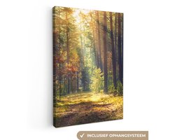 Canvas schilderij 80x120 cm - Wanddecoratie Bos - Herst - Bomen - Muurdecoratie woonkamer - Slaapkamer decoratie - Kamer accessoires - Schilderijen op canvas