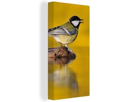 Canvas schilderij 80x160 cm - Wanddecoratie Koolmees - Vogel - Water - Muurdecoratie woonkamer - Slaapkamer decoratie - Kamer accessoires - Schilderijen